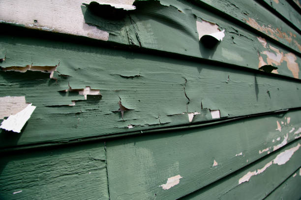 Best Storm Damage Siding Repair  in Mono Vista, CA