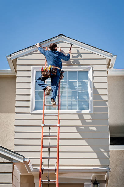  Mono Vista, CA Siding Installation & Repair Pros